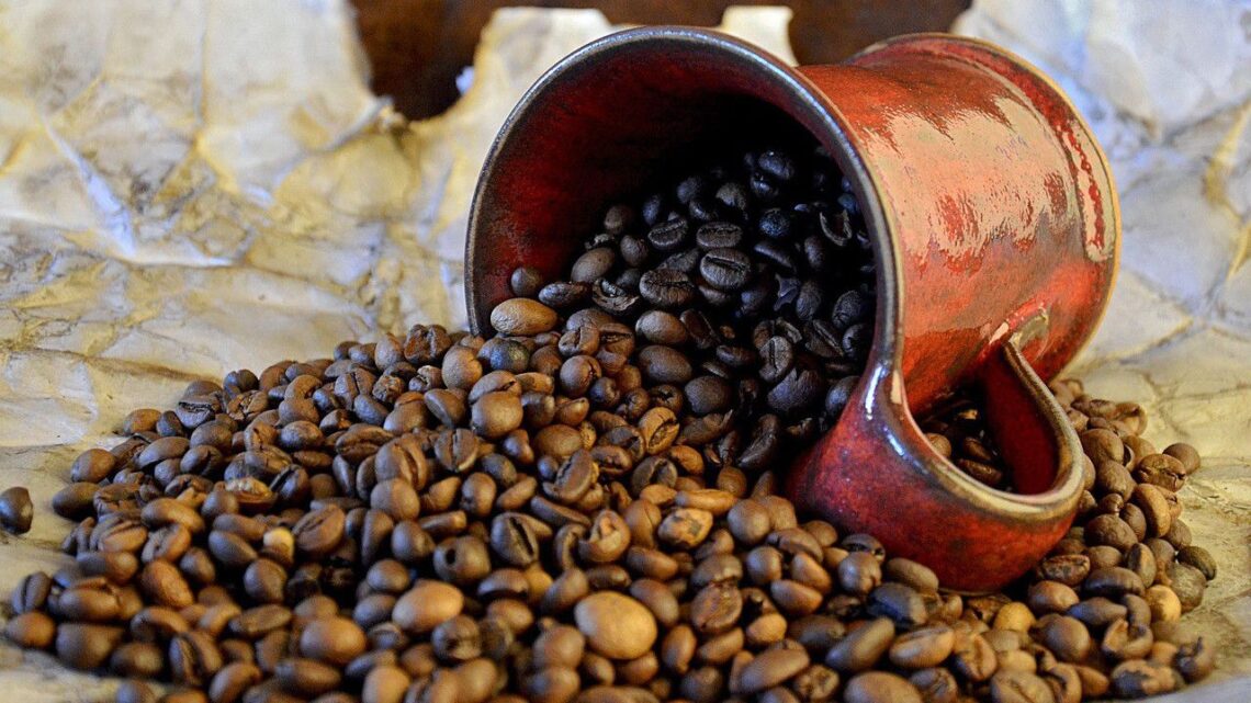 Tips Memanen Kopi Robusta