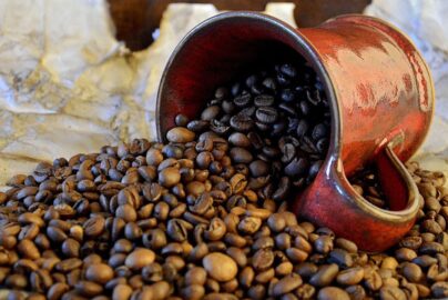 Tips Memanen Kopi Robusta