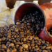 Tips Memanen Kopi Robusta