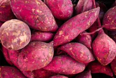 manfaat ubi ungu untuk kesehatan