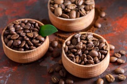 Jenis Biji Kopi Terbaik