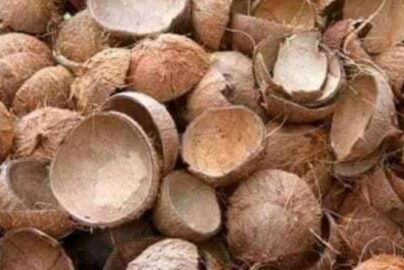 mesin penghancur batok kelapa dan jagung