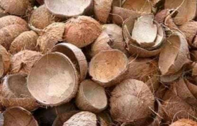 mesin penghancur batok kelapa dan jagung