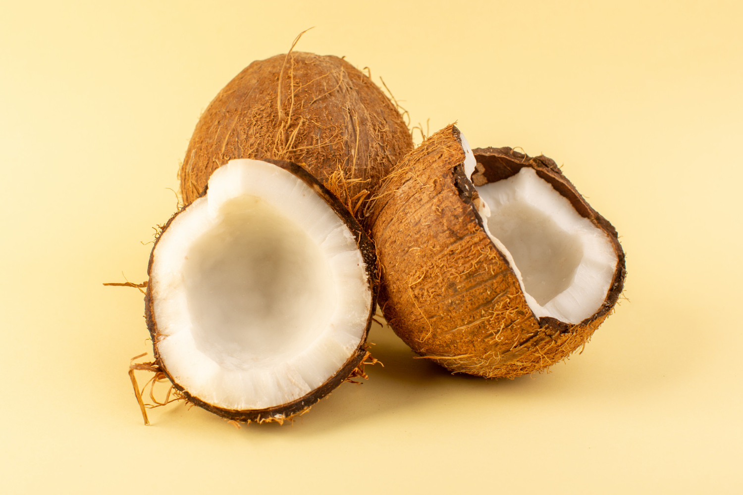 alat pengolah kelapa usaha