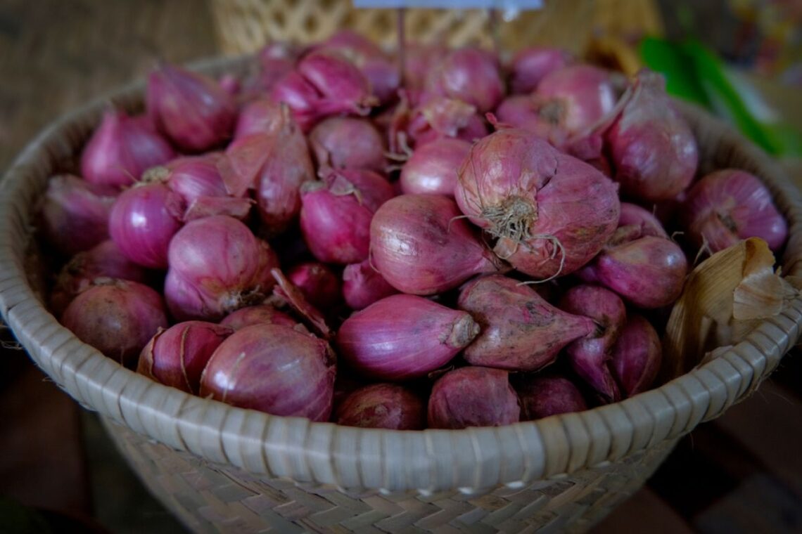manfaat mesin kupas bawang bagi katering