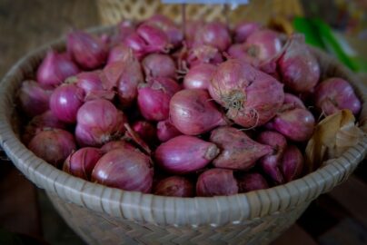 manfaat mesin kupas bawang bagi katering