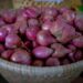manfaat mesin kupas bawang bagi katering
