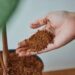 Pengenalan Sabut Kelapa dalam Kampanye Zero Waste Sekolah