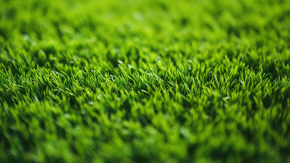 pakan rumput tahan simpan
