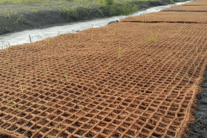 cocomesh untuk proyek sipil berkelanjutan