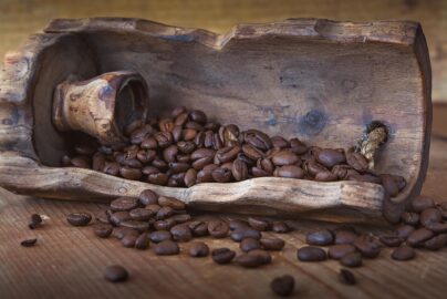 usaha pengolahan kopi kering