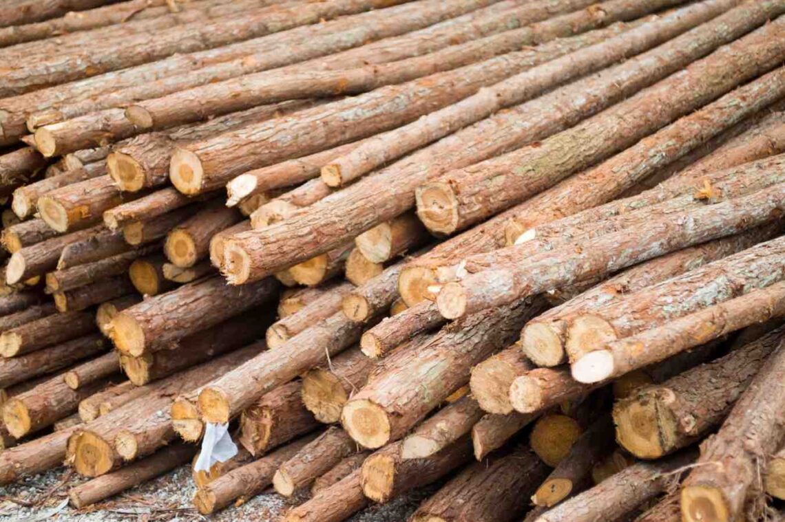 kayu