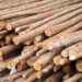 kayu