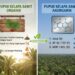 jenis pupuk untuk kelapa sawit