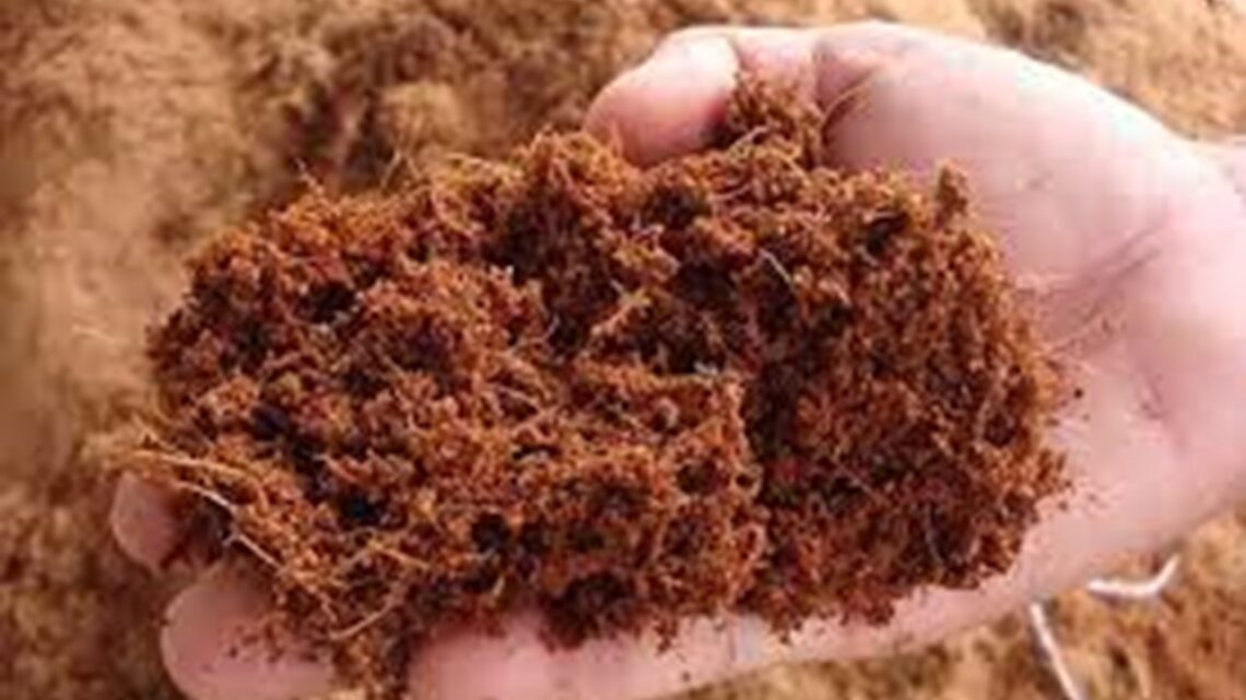 usaha cocopeat skala kecil