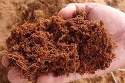 usaha cocopeat skala kecil