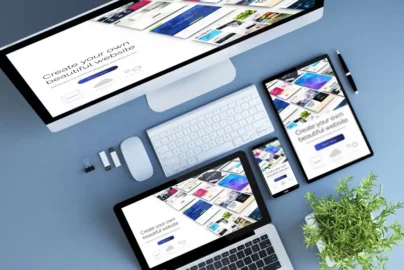 program layanan website profesional