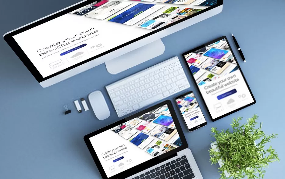 program layanan website profesional