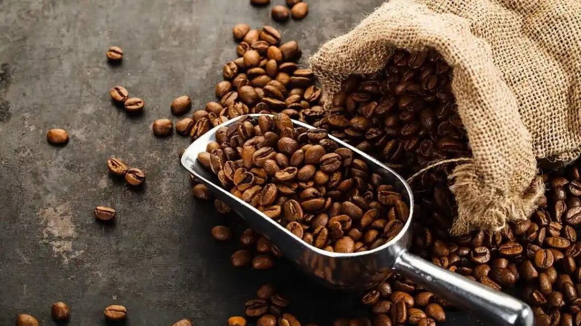 Proses Roasting Kopi Modern