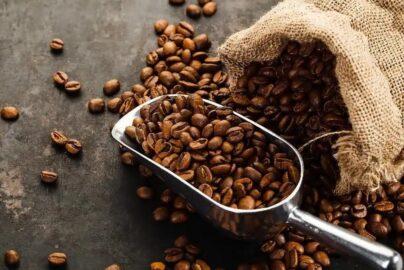 Proses Roasting Kopi Modern