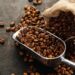 Proses Roasting Kopi Modern