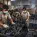 premium Indonesia coconut shell charcoal manufacturer producing coconut shell charcoal briquettes