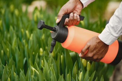 Kegunaan Hand Sprayer Elektrik