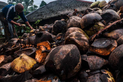 coconut waste to energy conversion