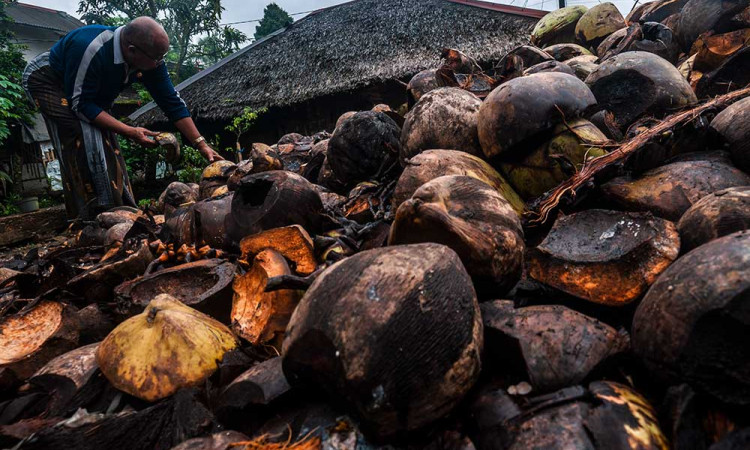 coconut waste to energy conversion
