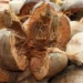 cara pengolahan limbah sabut kelapa