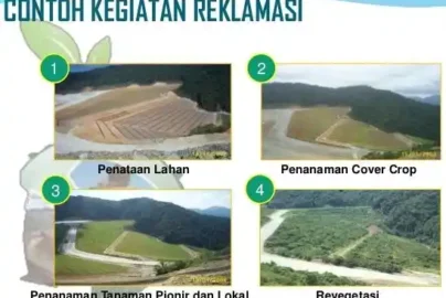 Perbedaan Reklamasi dan Revegetasi