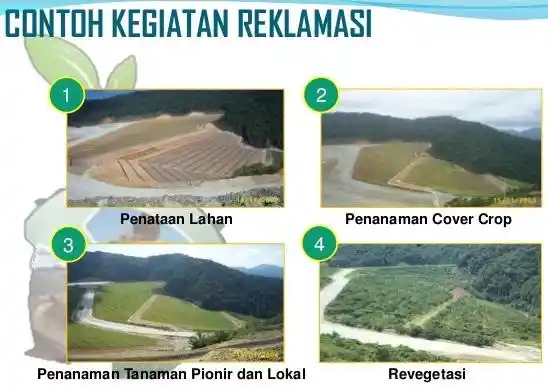 Perbedaan Reklamasi dan Revegetasi