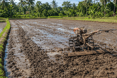 cara membajak sawah dengan traktor