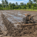 cara membajak sawah dengan traktor
