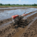 cara mengolah tanah sawah