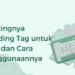 Pentingnya Urutan Penggunaan Tag Heading