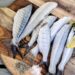 proses pemisahan daging ikan