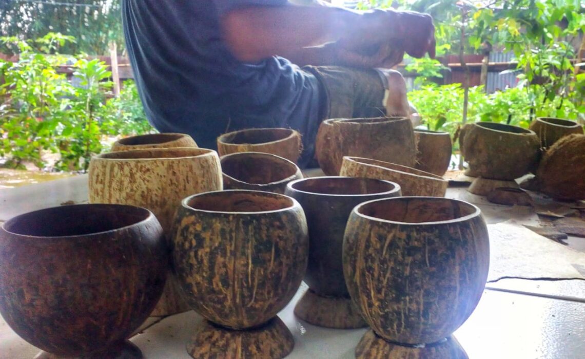 batok kelapa bisa dibuat apa
