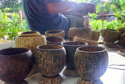 batok kelapa bisa dibuat apa