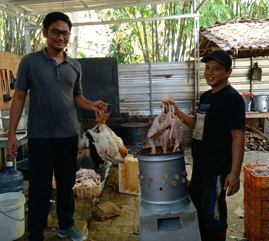 ayam dibubut setelah disembelih
