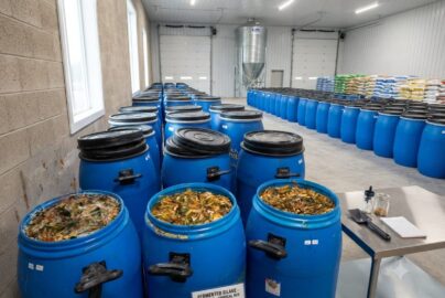 cara membuat pakan ternak fermentasi
