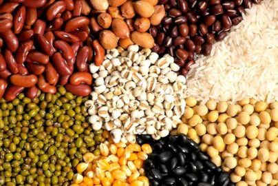 pengering biji-bijian untuk usaha