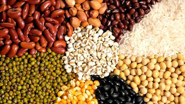 pengering biji-bijian untuk usaha