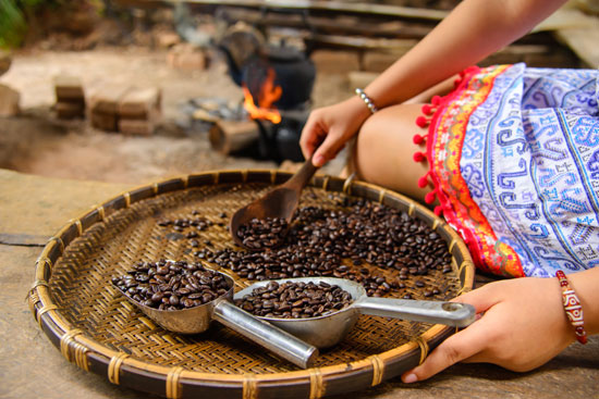 kadar air ideal biji kopi