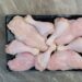 proses pengolahan karkas ayam