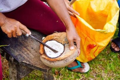 daging kelapa dicungkil pakai apa