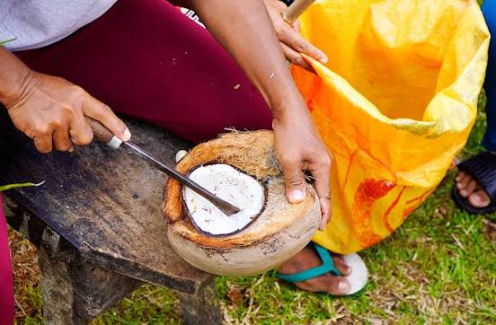 daging kelapa dicungkil pakai apa