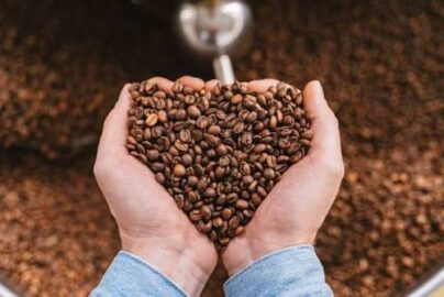 cara memisahkan kulit kopi
