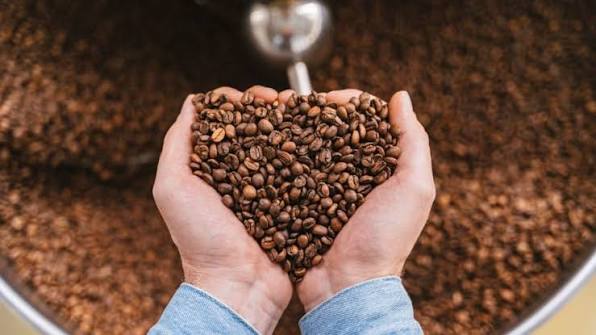 cara memisahkan kulit kopi