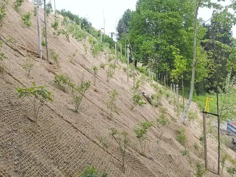 cara melindungi tanah setelah pembukaan lahan